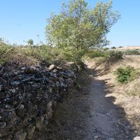 Photo de france - La randonnée de l'ancien refuge sur la colline